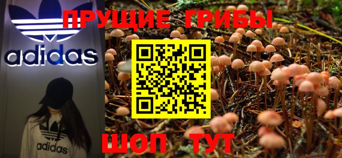 Галлюциногенные грибы Cubensis Кандалакша