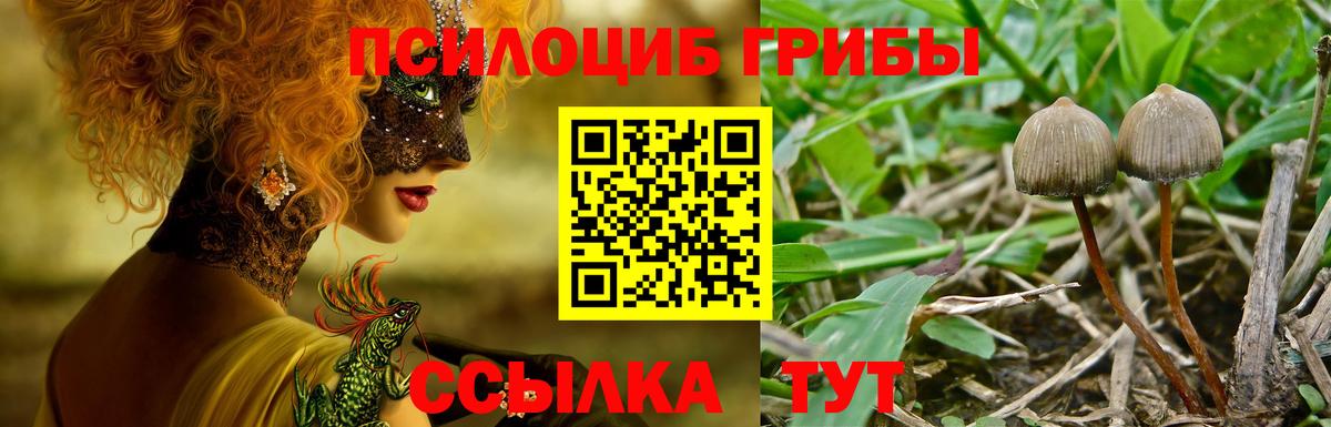 Галлюциногенные грибы GOLDEN TEACHER  Вход с VPN  Кандалакша 